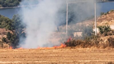 İnegöl'de arazide çıkan yangınla ilgili şüpheli yakalandı. Güvenlik güçlerinin başarılı