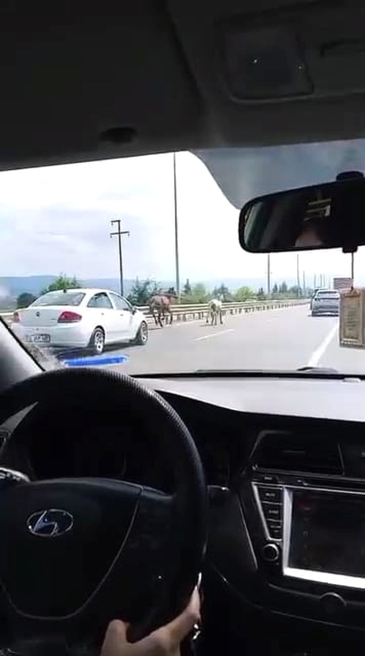 İnegöl'de başıboş atların yolda koştuğu olayın detayları ve güvenlik önlemleri