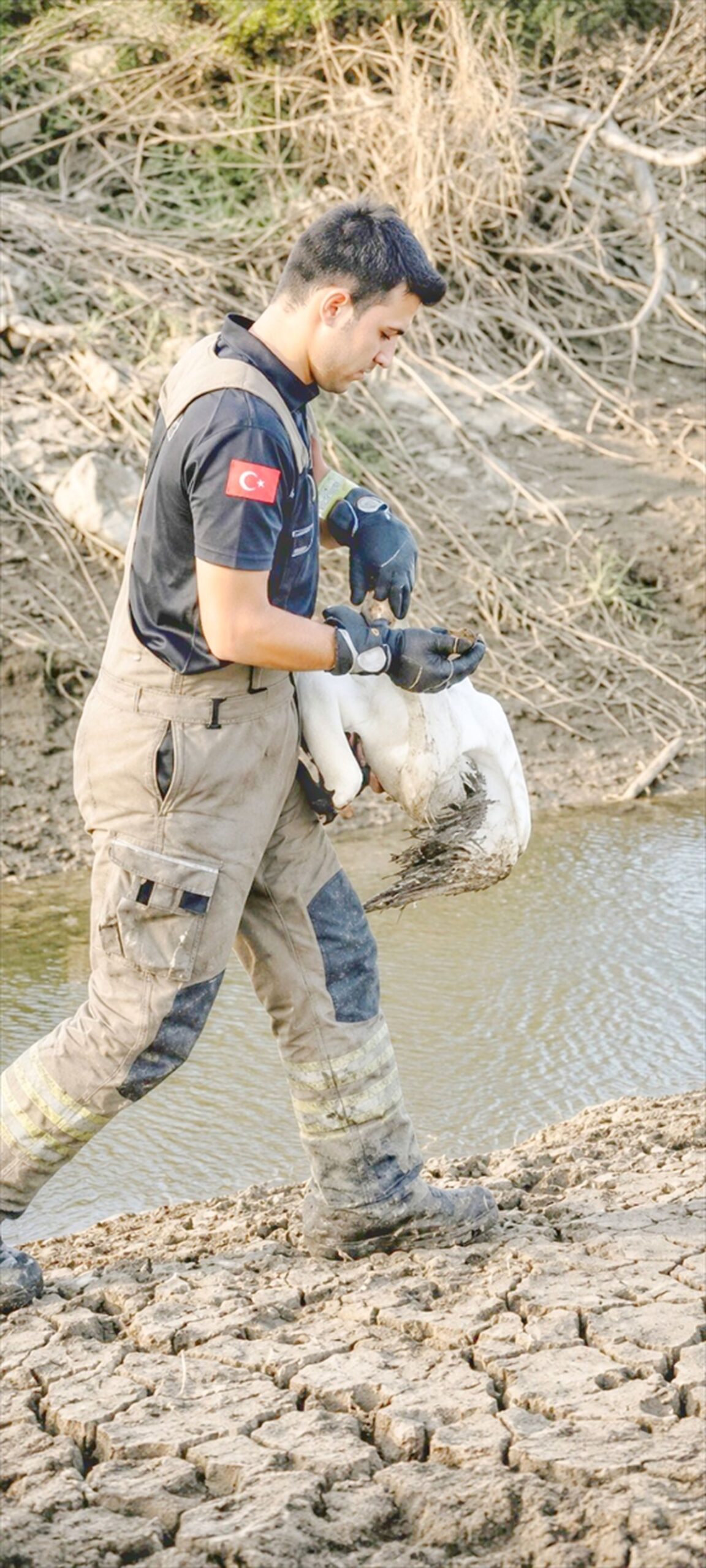 İnegöl'de bataklıkta bulunan leylek, uzmanlarca kurtarılarak doğaya yeniden kazandırıldı. Detaylar