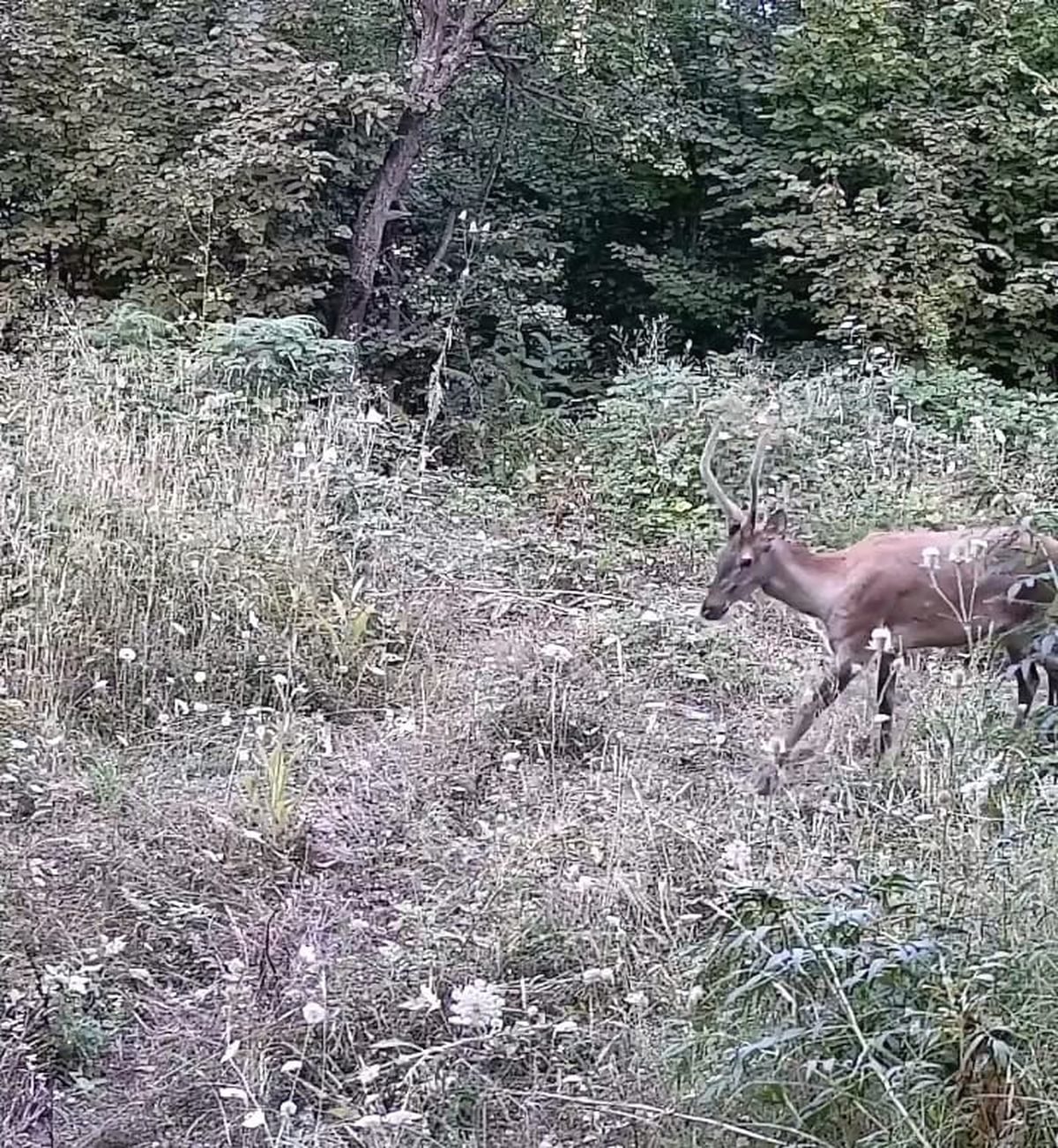 İnegöl'de doğa fotoğrafçılığı tutkusu ve eşsiz manzaraların keşfi için detaylı
