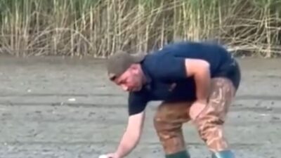 İnegöl'de mahsur kalan leylek, uzman ekipler tarafından kurtarılarak doğaya salındı.