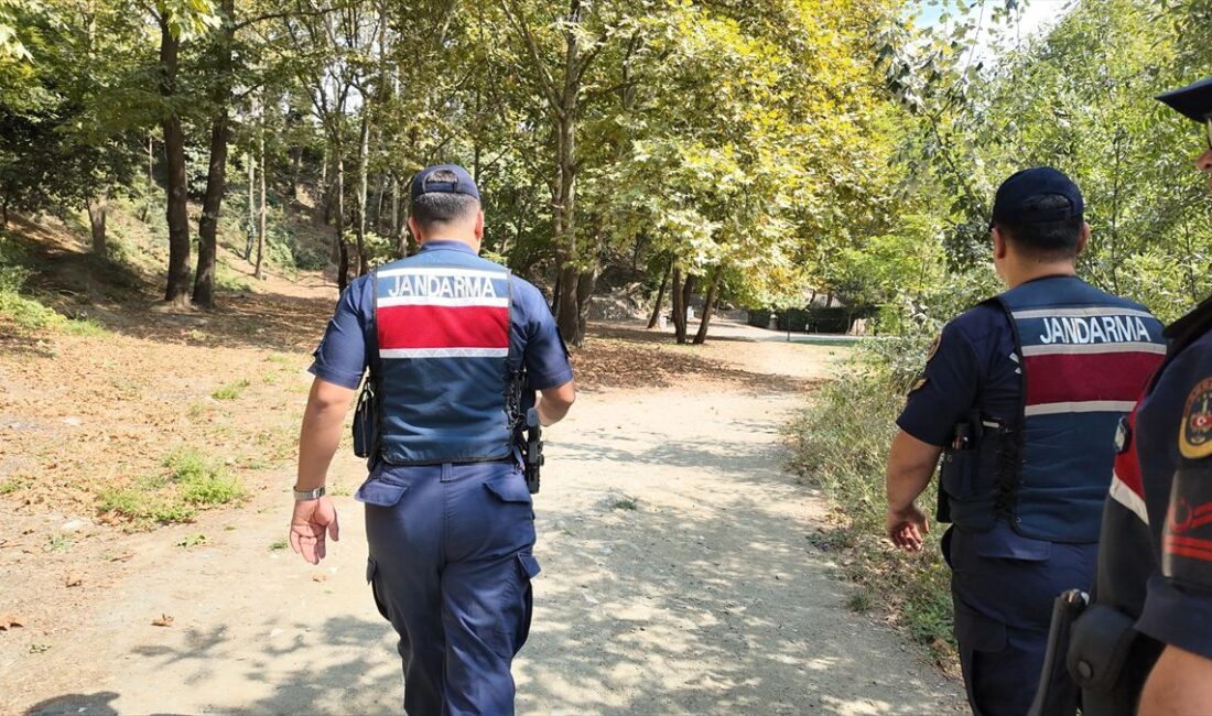 İnegöl’de orman yangını önleme denetimleri, doğal kaynakların korunması ve yangın