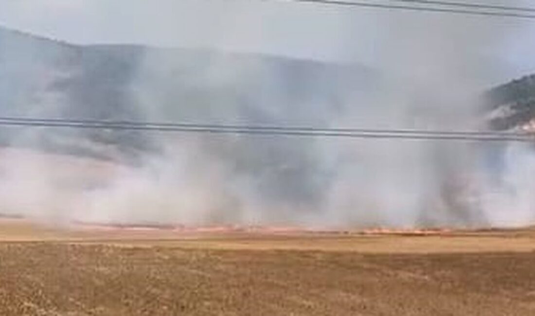 İnegöl'de tarlada çıkan yangın ve şüpheli yakalama olaylarıyla ilgili detaylar
