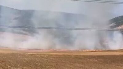 İnegöl'de tarlada çıkan yangın ve şüpheli yakalama olaylarıyla ilgili detaylar