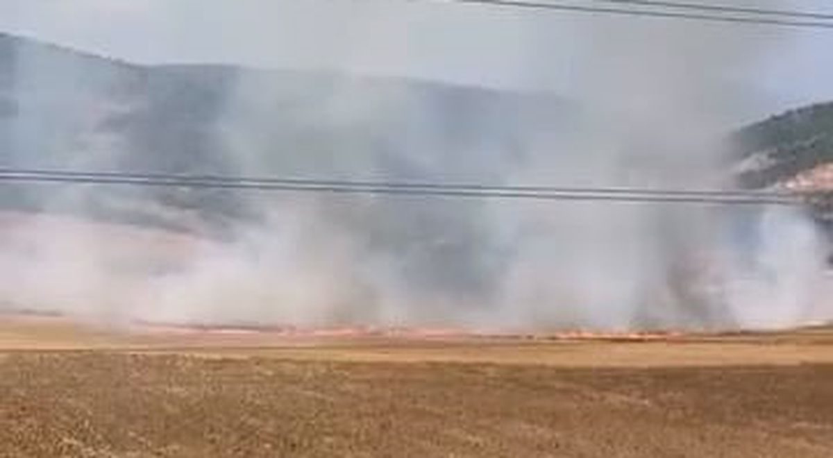 İnegöl'de tarlada çıkan yangın ve şüpheli yakalama olaylarıyla ilgili detaylar