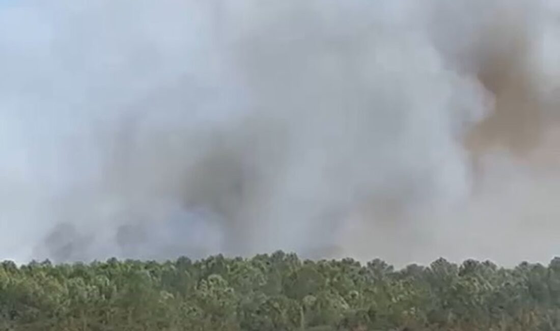 Mudanya'da çıkan anız yangını kontrol altına alınarak bölgede güvenlik sağlandı.