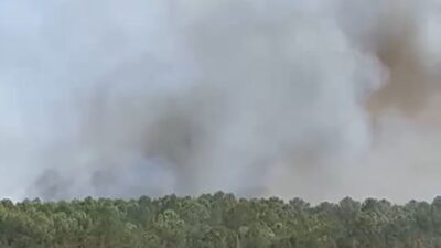 Mudanya'da çıkan anız yangını kontrol altına alınarak bölgede güvenlik sağlandı.