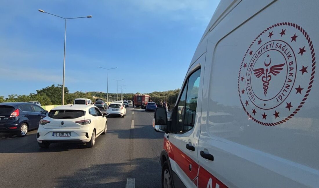 Mudanya'da otomobil alev alması olaylarına ilişkin detaylı bilgi, nedenleri ve