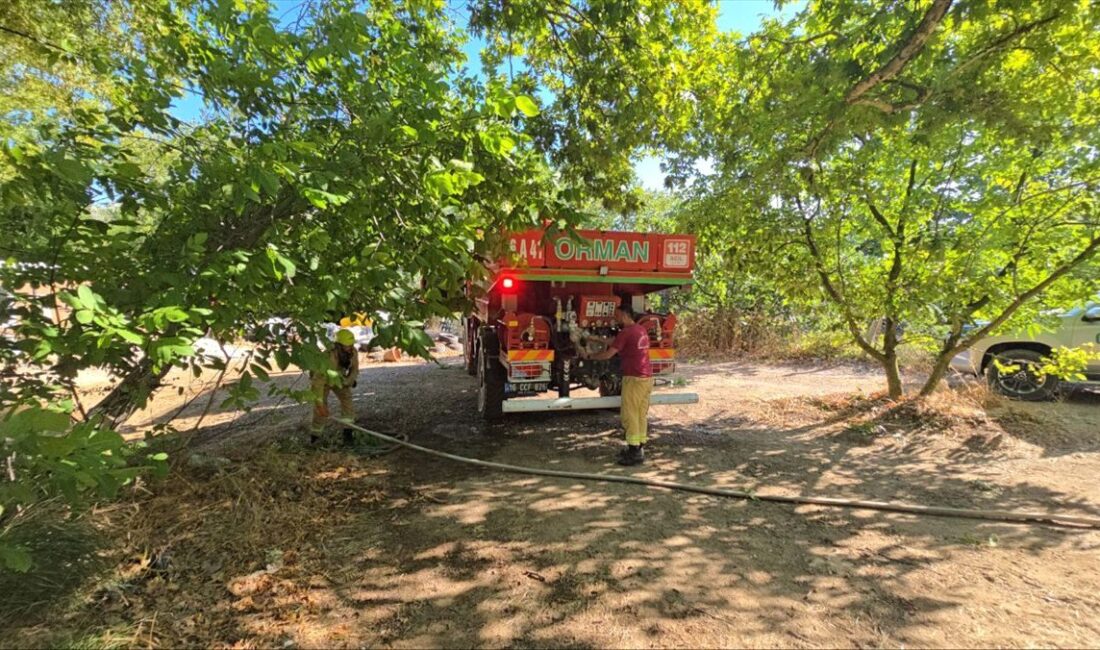 Mudanya'da tarla yangını kontrol altına alındı. Yetkililer, bölgedeki hasarın sınırlı