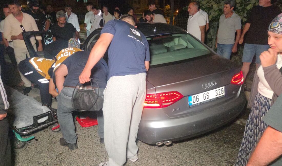 Orhangazi'de meydana gelen trafik kazasında araç ağaca çarptı. Olayla ilgili