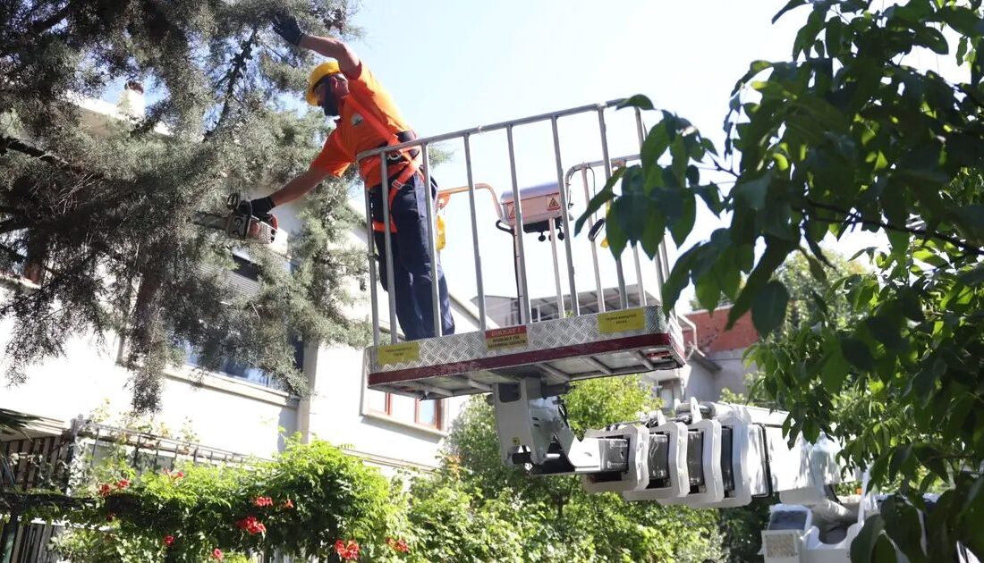 Osmangazi Belediyesi'nin ağaç bakım çalışmalarını ve sürdürülebilirlik projelerini içeren resmi
