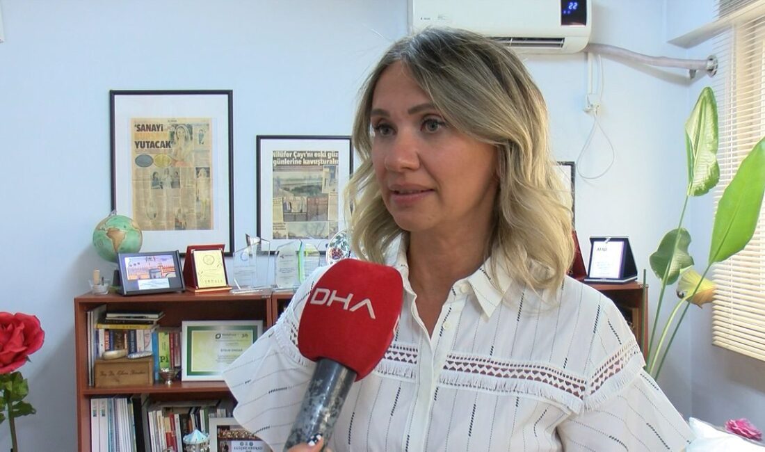 Uluabat Gölü'nde alg patlaması başladı. Ekosistemi olumsuz etkileyen bu durum