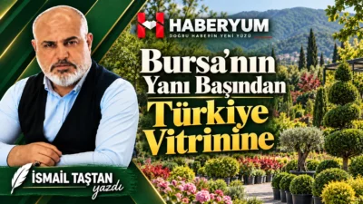 Kestel, son yıllarda yalnızca Bursa’ya yakınlığıyla değil, kendi üretim gücü
