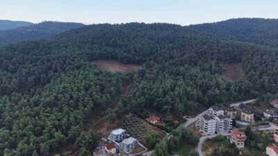 Bursa Çalı Mahallesi'nde ayı görünümüne ilişkin detaylı bilgi ve güncel