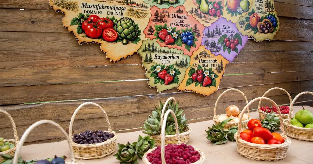 Bursa Gastronomi Festivali, renkli ve coşkulu etkinliklerle gastronomi tutkunlarını bir