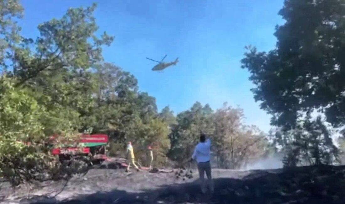 Bursa İznik'teki orman yangını kontrol altına alındı. Güvenlik sağlandı ve