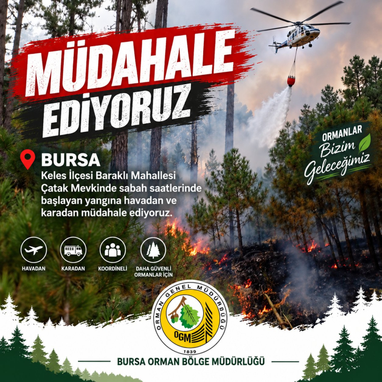 Bursa Keles'te Yangın Kontrol Altında