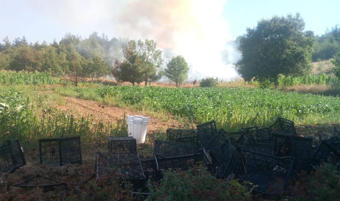 Bursa Kestel'de yaşanan orman yangınıyla ilgili detaylar, hasar ve önlemler