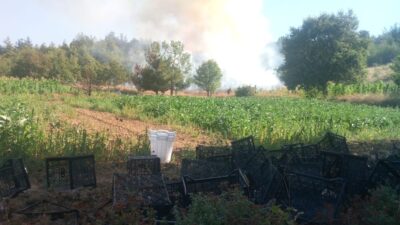 Bursa Kestel'de yaşanan orman yangınıyla ilgili detaylar, hasar ve önlemler