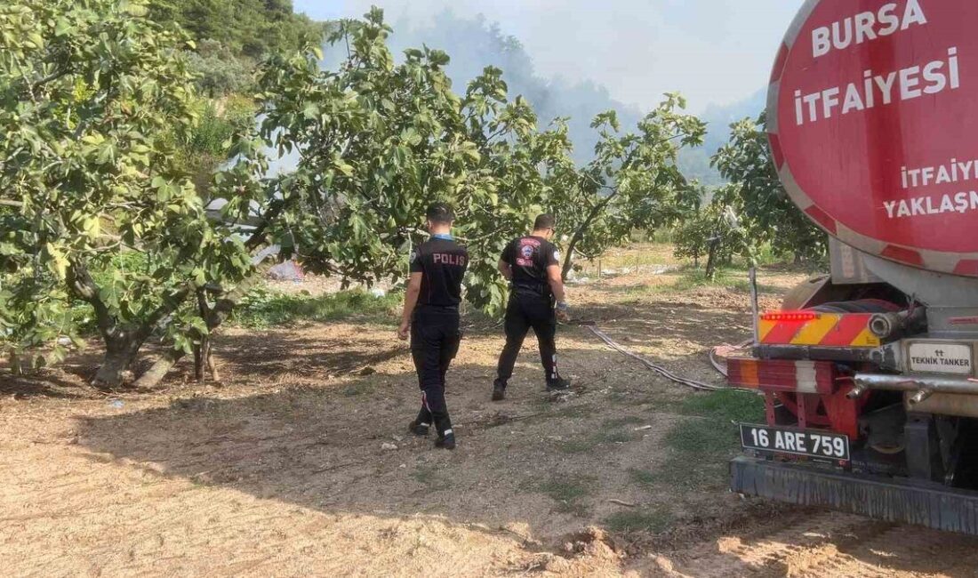 Bursa Mudanya'da orman yangını başarıyla kontrol altına alınmış olup, bölgedeki