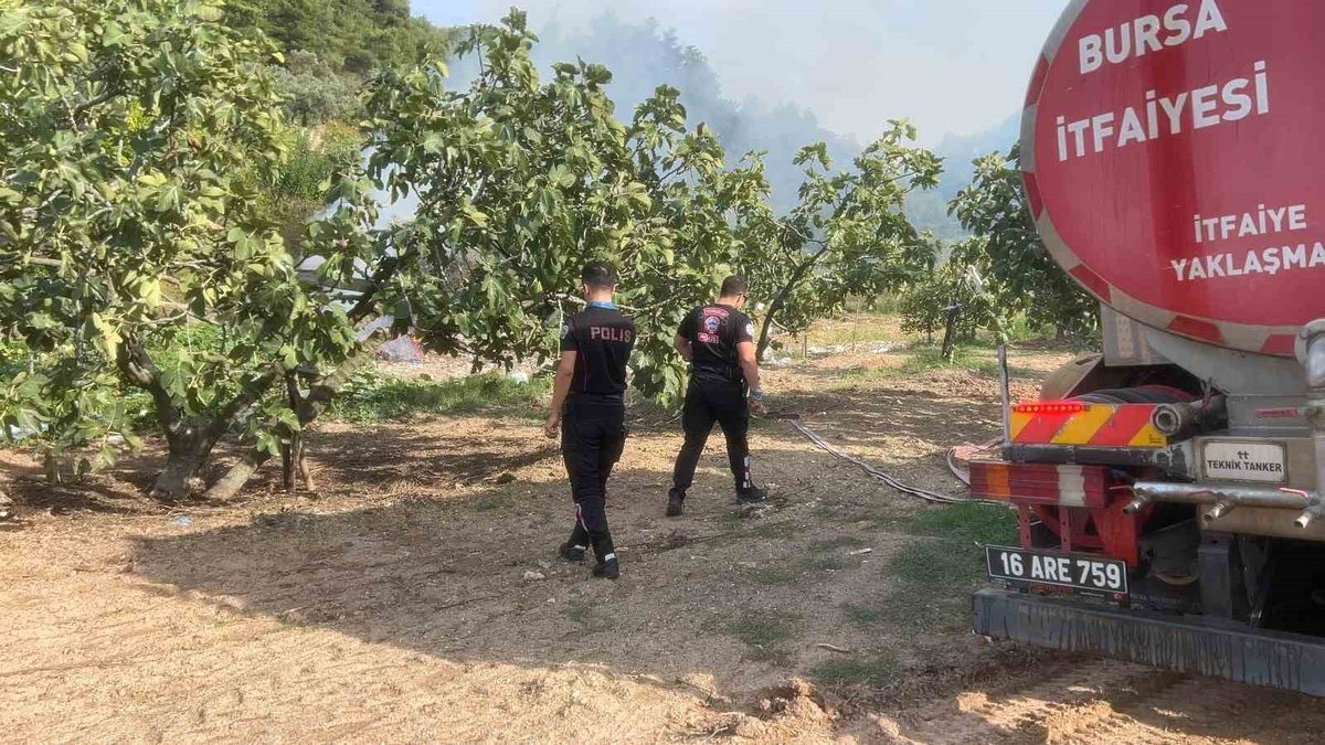 Bursa Mudanya'da orman yangını başarıyla kontrol altına alınmış olup, bölgedeki