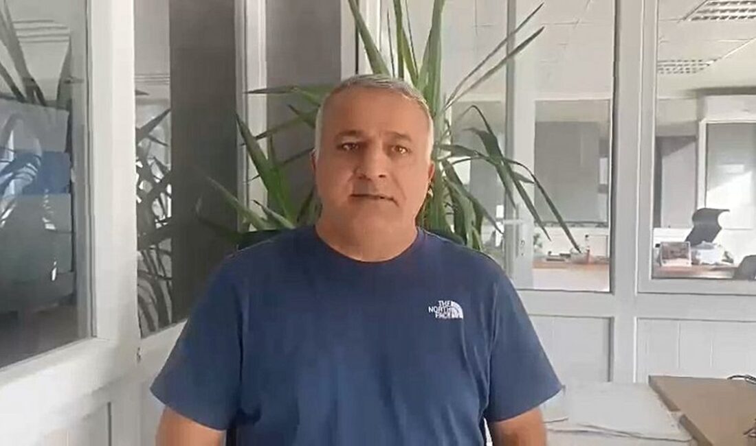 Bursa Orhaneli'nde yaşanan toplu balık ölümleri, çevre ve ekosistem üzerinde