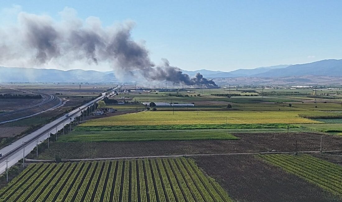 Bursa Yenişehir’de incir deposunda çıkan yangın, maddi kayıplara yol açtı.