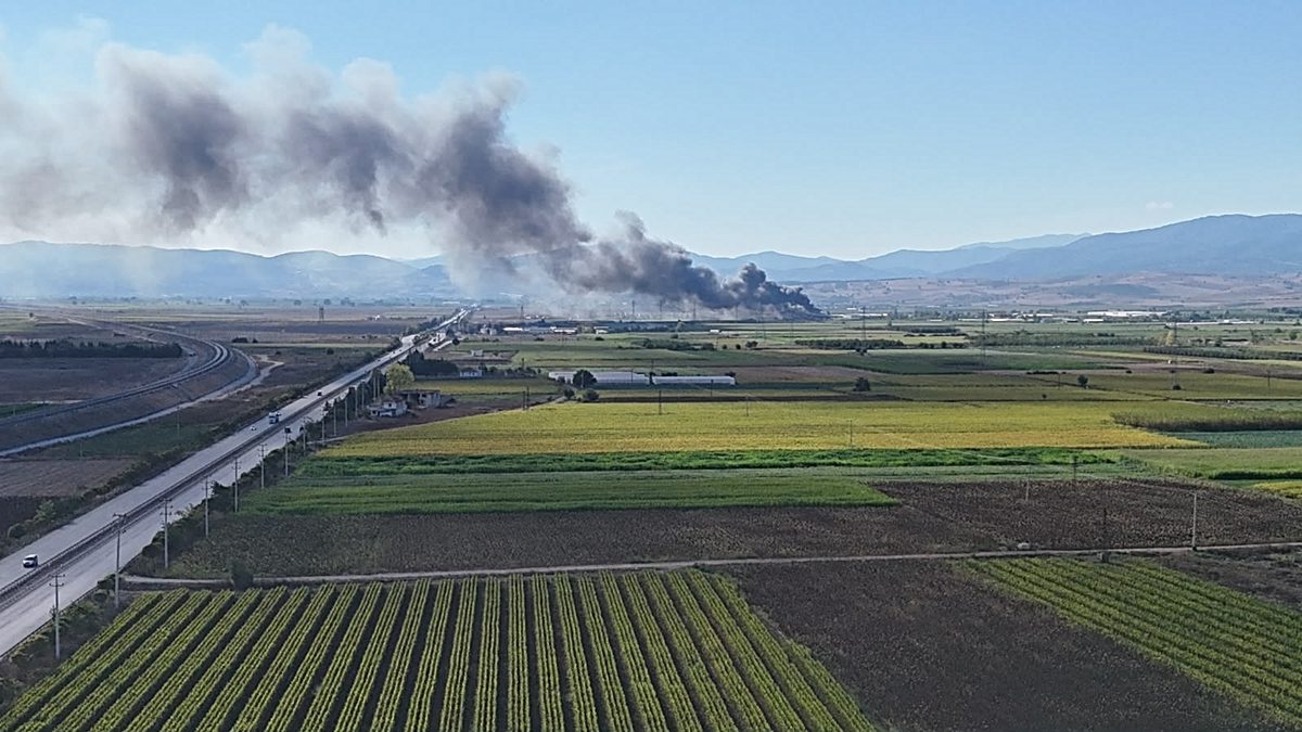 Bursa Yenişehir’de incir deposunda çıkan yangın, maddi kayıplara yol açtı.