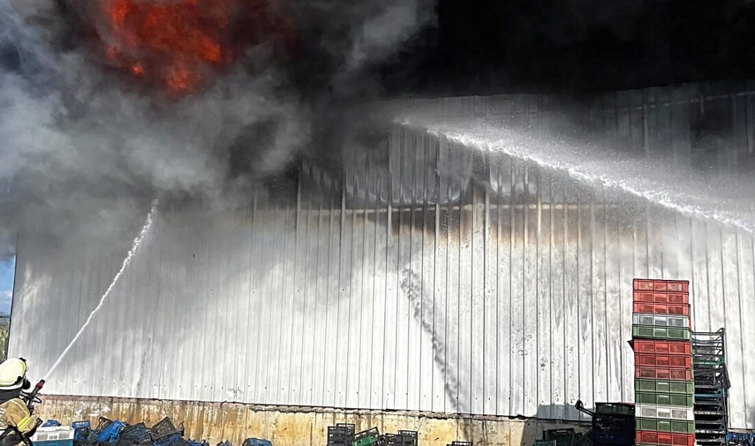 Bursa Yenişehir'de soğuk hava deposunda çıkan yangınla ilgili gelişmeler, müdahale