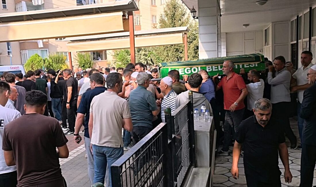 Bursa Yenişehir'de meydana gelen trafik kazasında 2 kişi hayatını kaybetti,