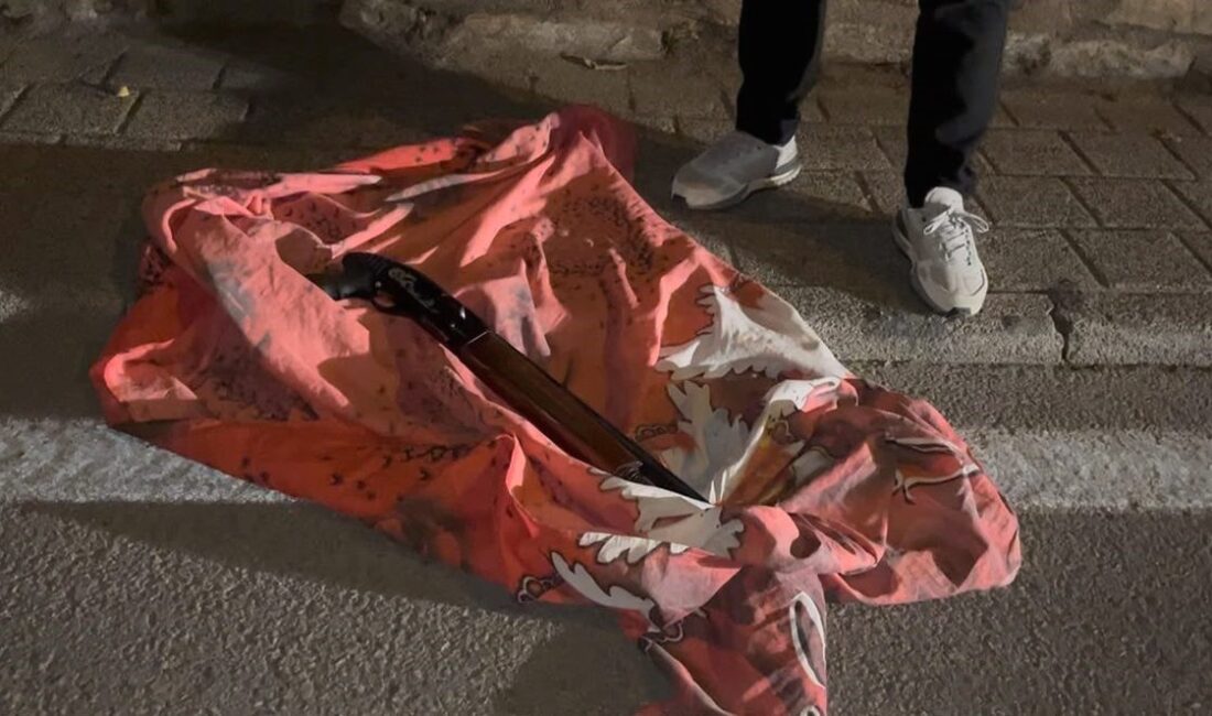 Bursa'da anne ve tüfekli kriz olayını detaylarıyla inceleyen, resmi ve