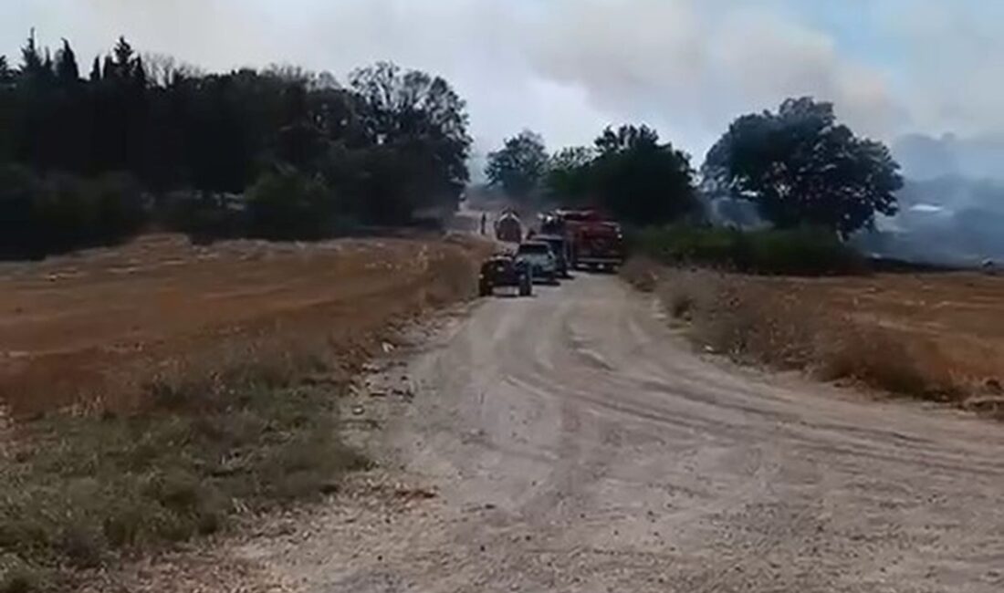 Bursa'da geniş alanda çıkan arazi yangını kontrol altına alındı. Yetkililer