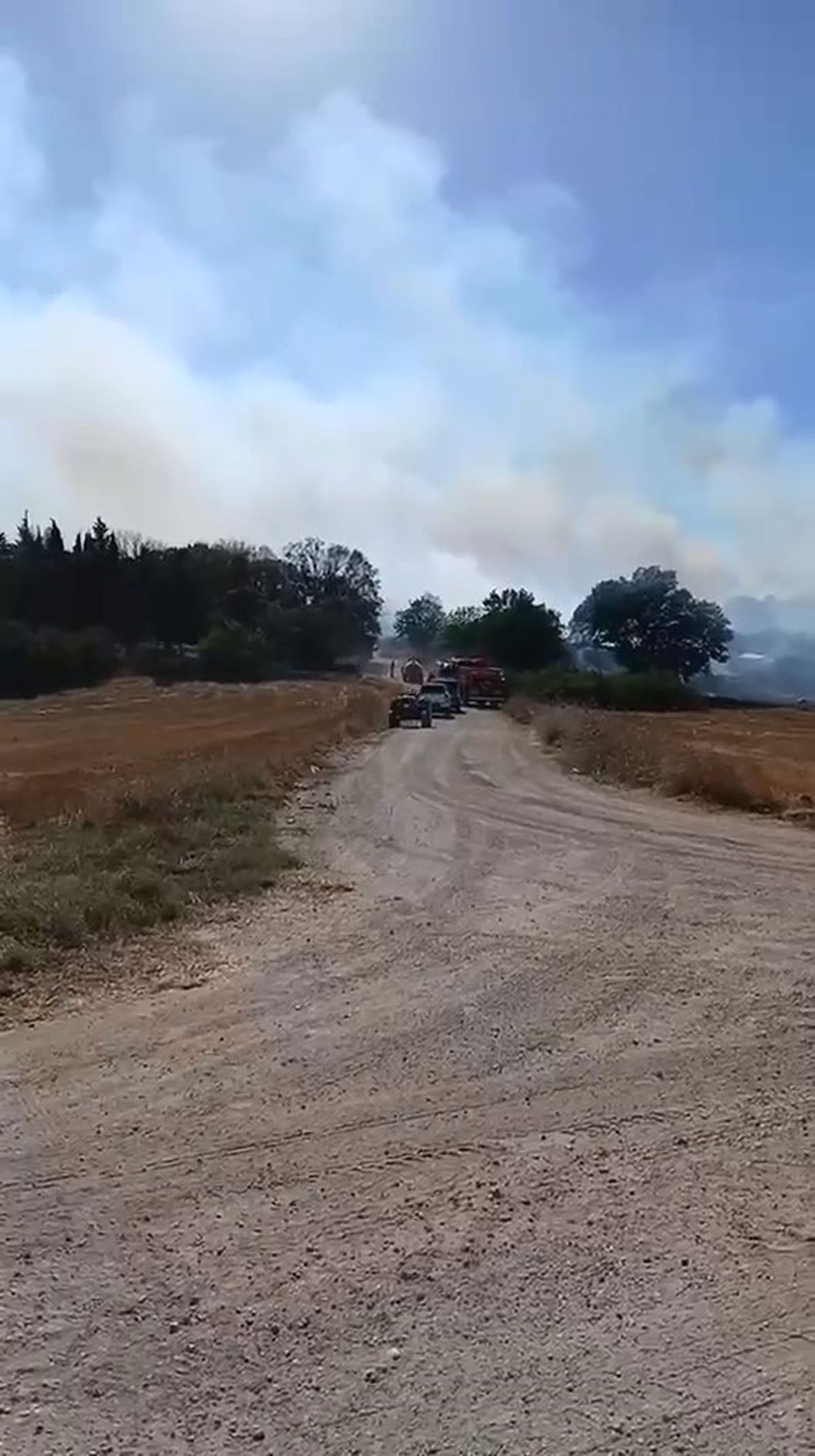 Bursa'da geniş alanda çıkan arazi yangını kontrol altına alındı. Yetkililer