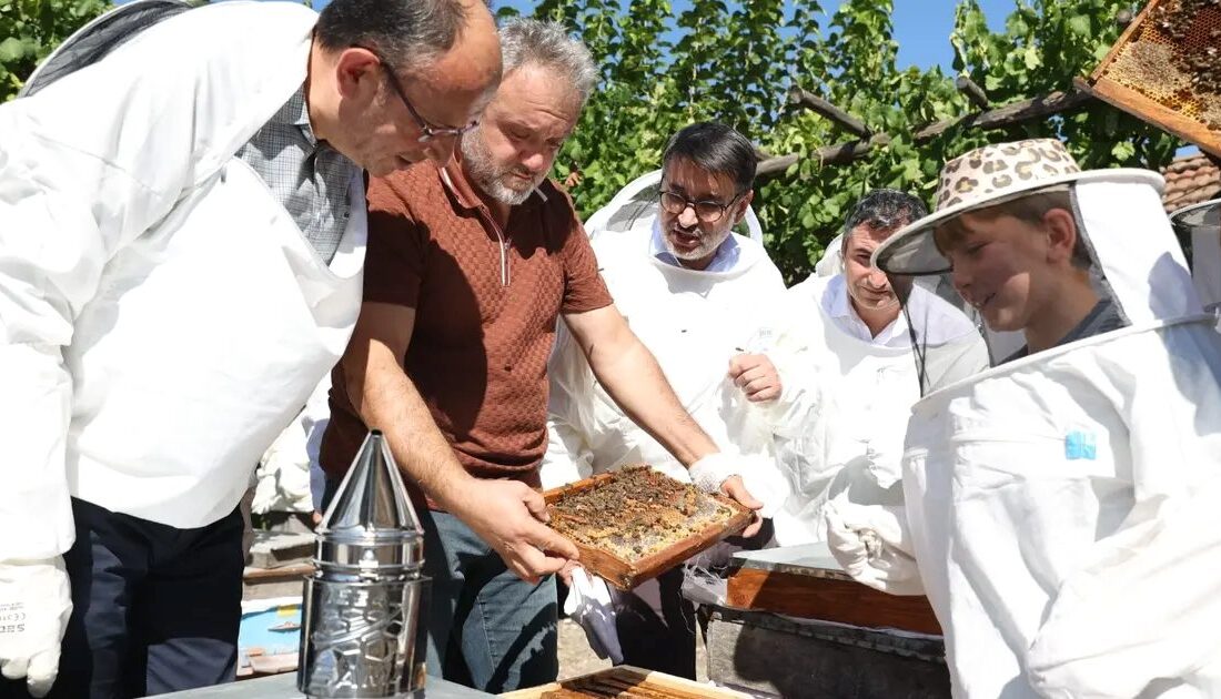 Bursa'da gerçekleştirilen bal hasadı etkinliği, doğa ve geleneklerin uyumunu yansıtarak