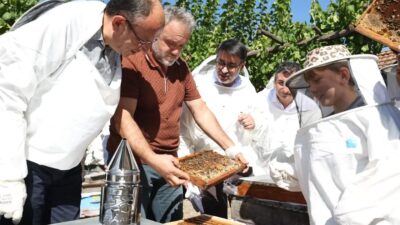Bursa'da gerçekleştirilen bal hasadı etkinliği, doğa ve geleneklerin uyumunu yansıtarak
