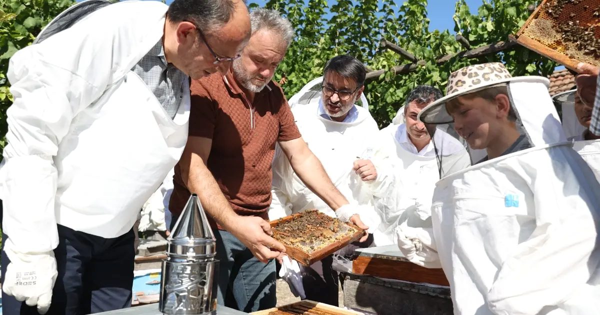 Bursa'da gerçekleştirilen bal hasadı etkinliği, doğa ve geleneklerin uyumunu yansıtarak