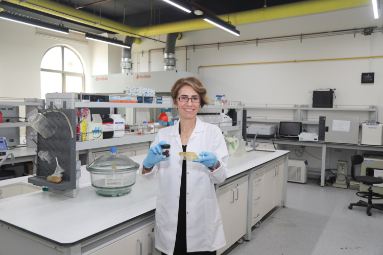 Bursa'da Gıda Atıkları ve Plastik Çözüm Projesi