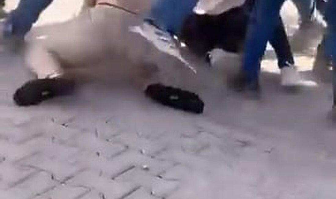 Bursa'da inşaat alanında yaşanan şiddetli kavga hakkında detaylar ve gelişmeler.