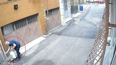 Bursa'da kediler için bırakılan mama kaplarına zarar veren durumların nedenleri