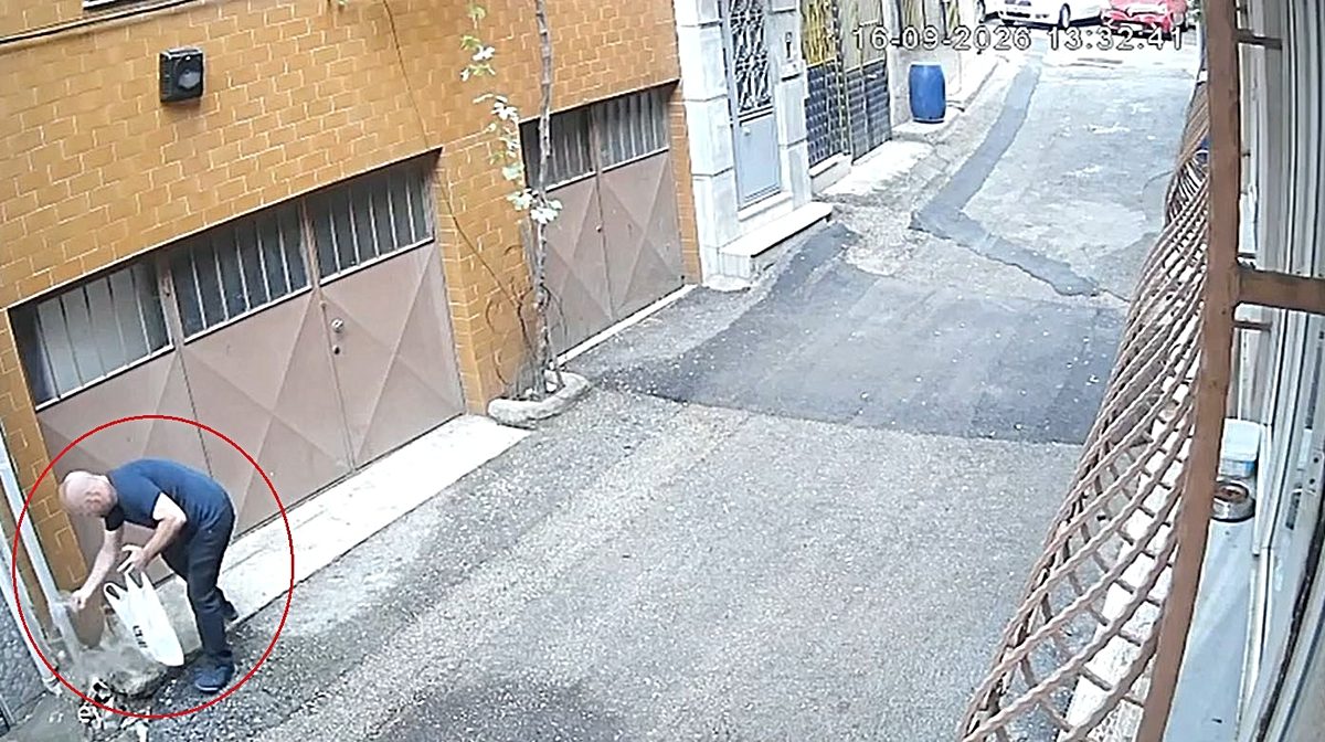 Bursa'da kediler için bırakılan mama kaplarına zarar veren durumların nedenleri