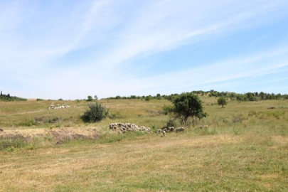 Bursa'da Mera İyileştirme Çalışmaları