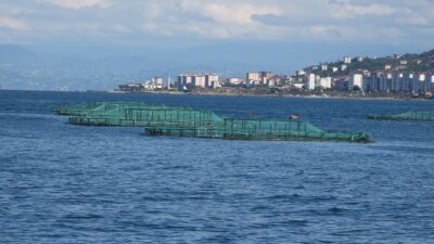 Bursa'da öğrencilere denizcilik eğitimi programlarıyla geleceğin denizcilik uzmanlarını yetiştiriyoruz. Detaylar