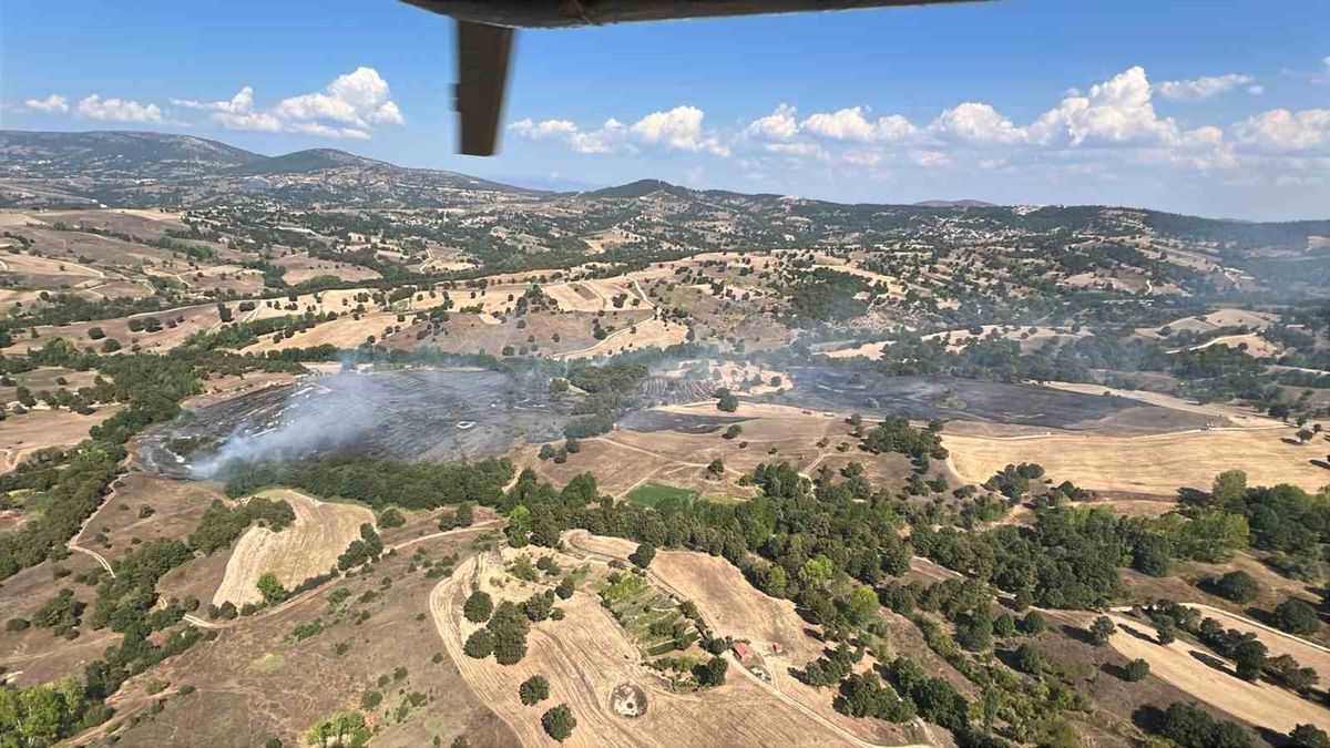 Bursa'da çıkan orman yangını kontrol altına alındı. Yetkililer, bölgedeki yangına