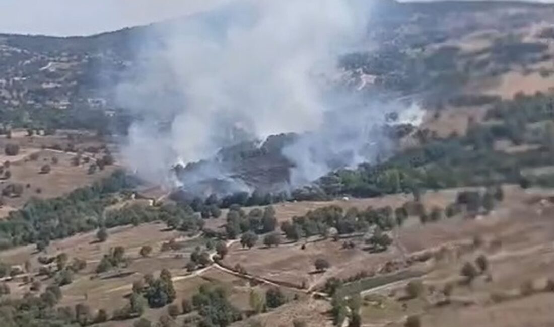 Bursa'da çıkan orman yangını kontrol altına alınmış olup, yetkililer bölgede