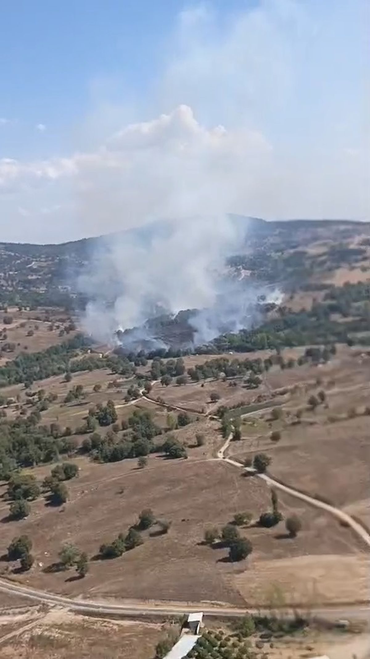 Bursa'da çıkan orman yangını kontrol altına alınmış olup, yetkililer bölgede