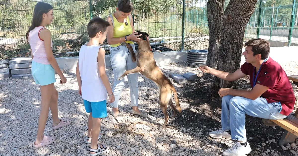 Bursa'da sahipsiz hayvanlar için yeni yuva arayışları ve projeleri hakkında