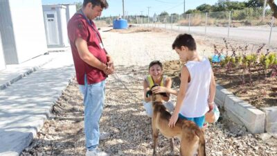 Bursa'da sahipsiz köpek, yardım ve sevgiyle umut buldu. İnsanların ilgisiyle