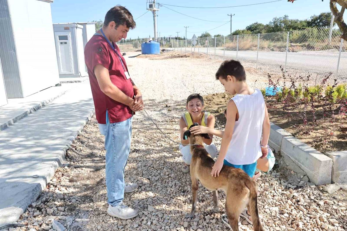 Bursa'da sahipsiz köpek, yardım ve sevgiyle umut buldu. İnsanların ilgisiyle