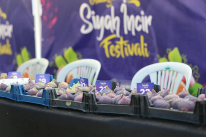 Bursa'da Siyah İncir Festivali Gerçekleşti
