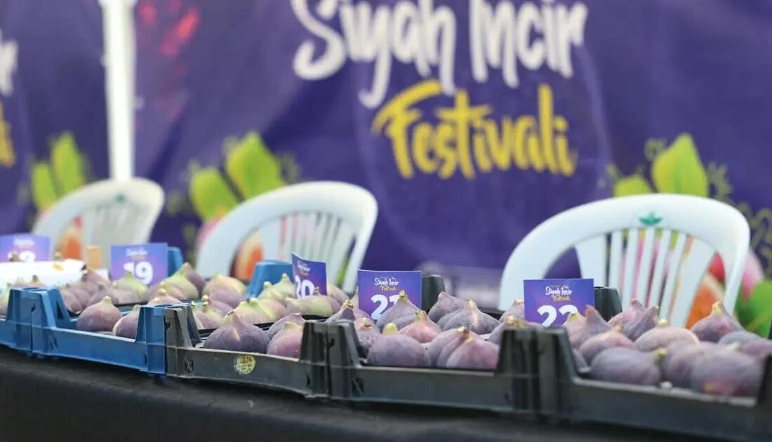 Bursa'da düzenlenen Siyah İncir Festivali, bölgenin zengin kültürel mirasını ve
